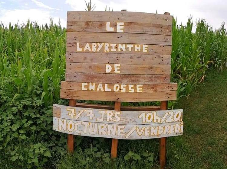 Labyrinthe de Chalosse